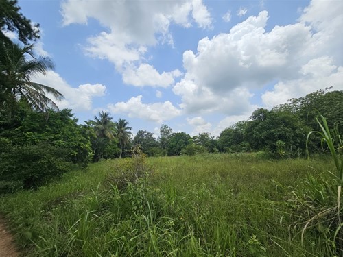 Foto 11