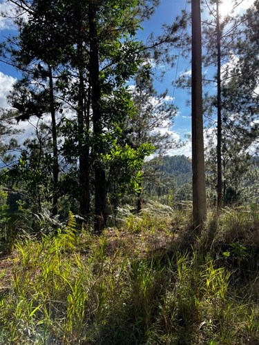 Solar en Venta, Constanza