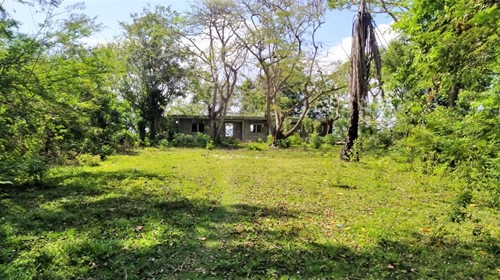 Foto 11