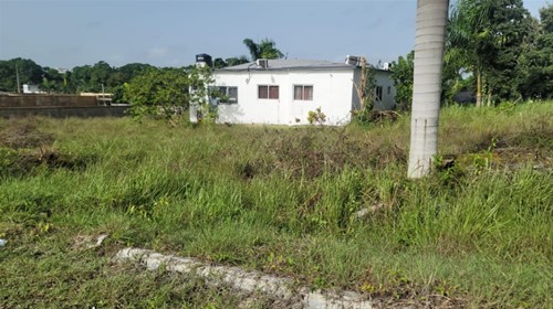 Foto 11