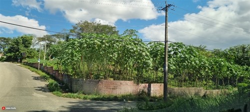 Foto 11