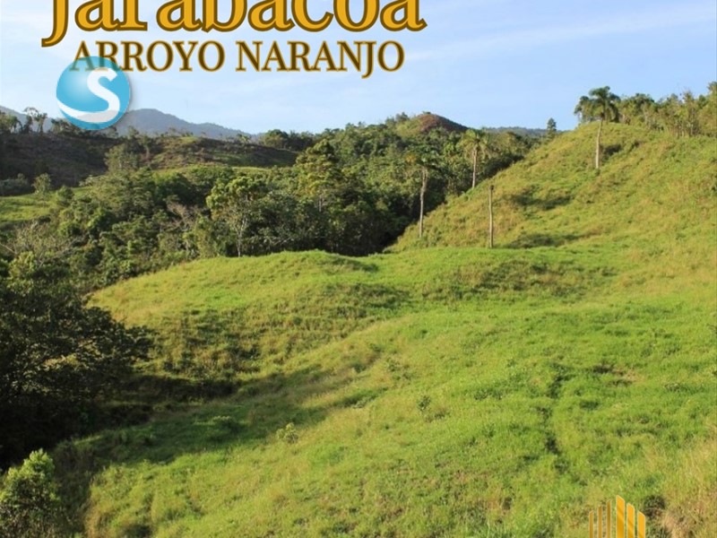 Solares / Terrenos en Jarabacoa