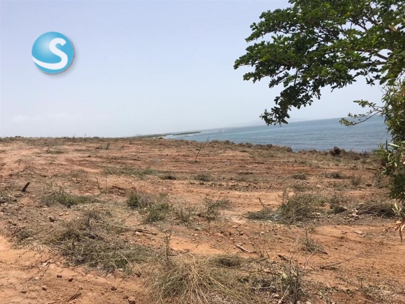 Solares / Terrenos en Azua