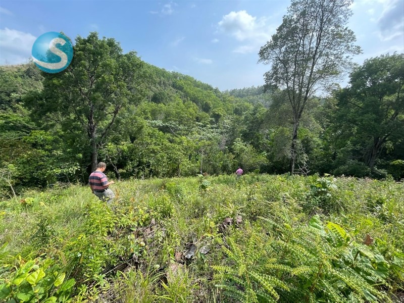 Finca en Venta, Villa Altagracia 1306051