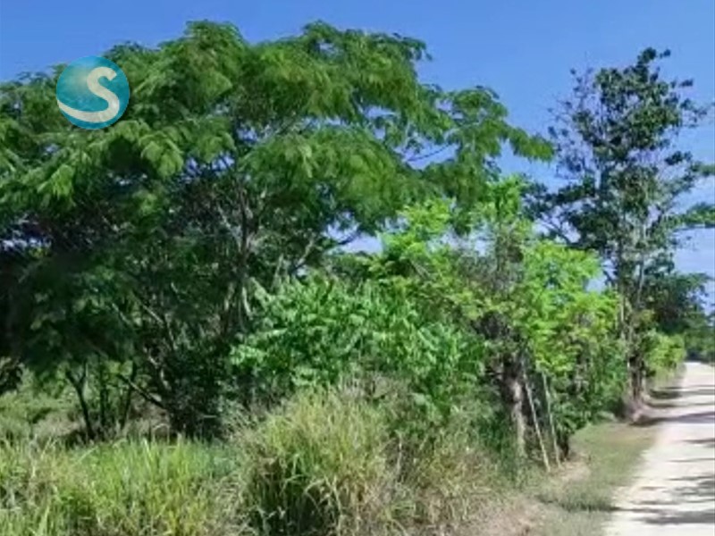 Solares / Terrenos en Santo Domingo Este