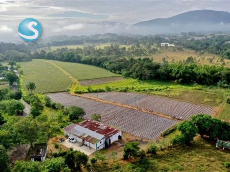 Solares / Terrenos en Jarabacoa