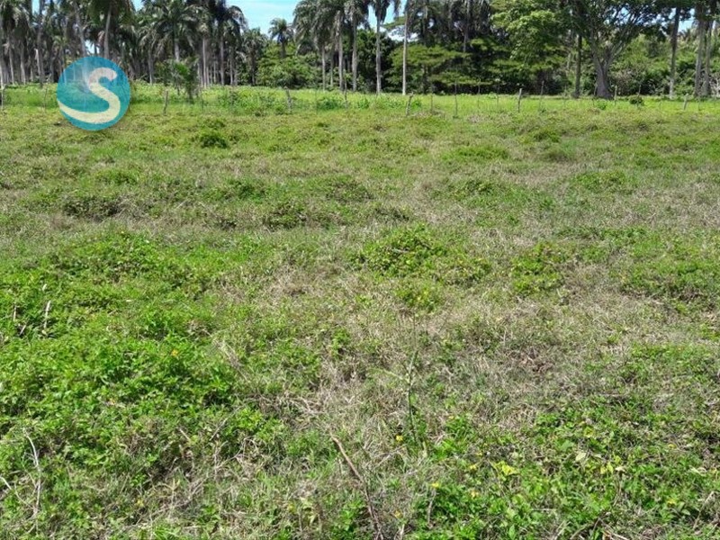 Solares / Terrenos en Otra Zona
