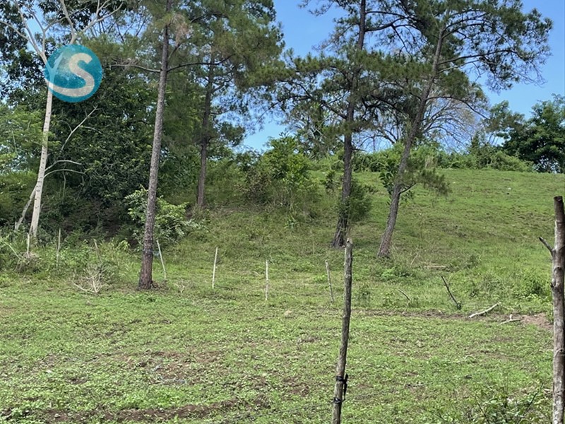 Solares / Terrenos en Jarabacoa