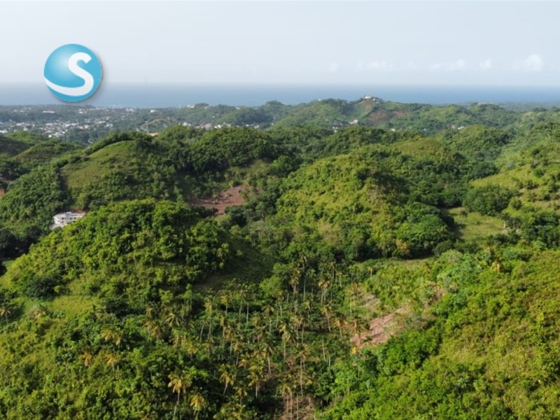 Solares / Terrenos en Las Terrenas