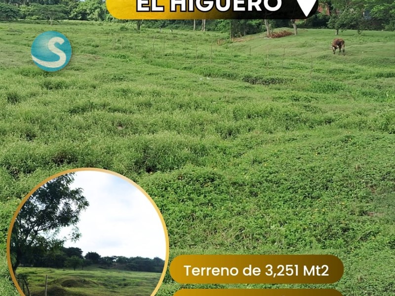 Solares / Terrenos en Santo Domingo Norte